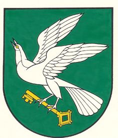 the coat of arms of an irish city with a bird on it's wing