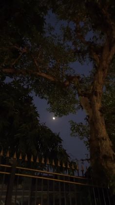 the moon shines brightly in the night sky behind a fence and tree with iron bars