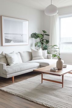 a living room with a couch, coffee table and potted plant in the corner