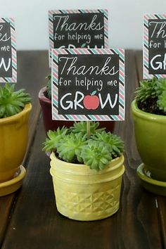 three potted plants are sitting on a table with thank you sign in the middle