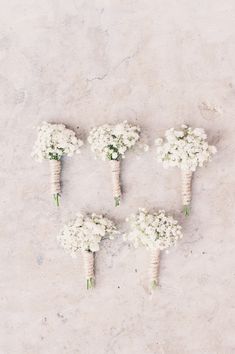 four small white flowers arranged in the shape of bouquets on a concrete surface, top view