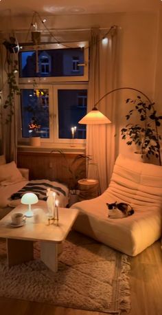 a living room filled with furniture and a large window in the back drop off wall