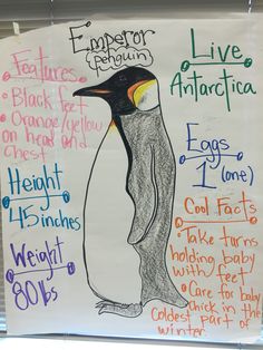 a poster with an image of a penguin on it's back and the words emperor penguin written in different languages