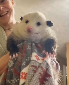 the woman is holding an animal in her arms and smiling at the camera while she holds it