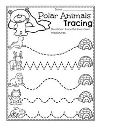 the worksheet for polar animals and their tracers is shown in black and white