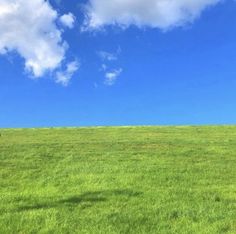 a lone tree stands in the middle of a grassy field under a blue sky with clouds