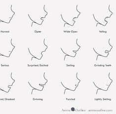 the different types of nose shapes and how to use them for your face shape chart