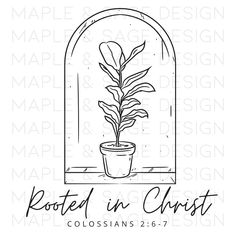 a potted plant with the words rooted in christ