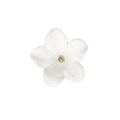 a white flower on a white background