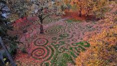 an aerial view of a garden with trees and leaves on the ground, surrounded by foliage