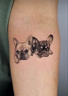 two small dogs on the arm with their faces drawn in black and grey ink by tattoo artist