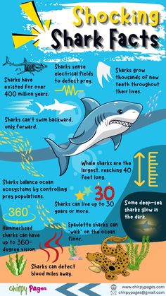 shark fact poster with information about sharks and other marine creatures in the water, including corals