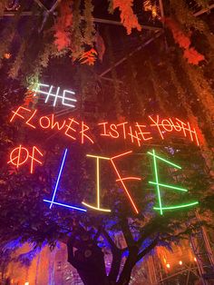 the power is the youth sign lit up in front of a tree with lights on it