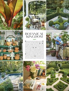 an article about potted plants in the garden