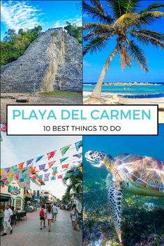 the top ten things to do in playa del carmen