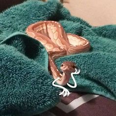 a green blanket with a brown and white snake on it's back, sitting on top of a bed