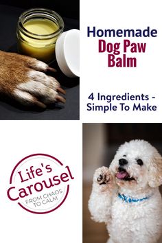 a white dog with its paw on top of a table next to a jar of liquid