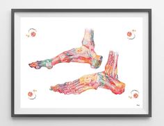 two feet are shown in watercolors on a white background with circles around them