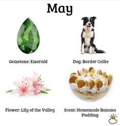 the words in russian mean dogs and their meanings, with pictures of different food items