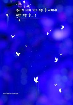 blue background with white birds flying in the sky and words written in english on it