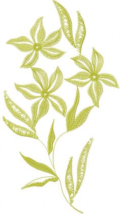 some green leaves are on a white background and it looks like they have been drawn by hand