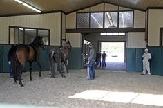 several people standing around with horses in an indoor arena