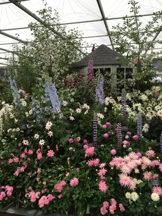 many different types of flowers in a greenhouse