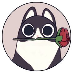 a black and white cat holding a rose in its mouth