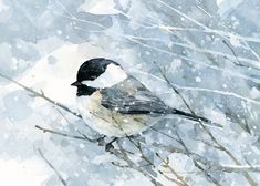 a bird sitting on top of a tree branch in the snow