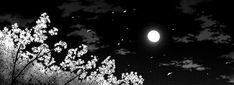 black and white photograph of trees with the moon in the sky behind them at night