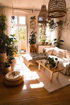 a living room filled with lots of plants next to a wooden table and couch on top of a hard wood floor