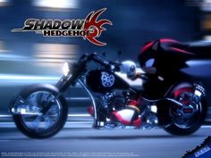 shadow the hedgehog riding on a motorcycle