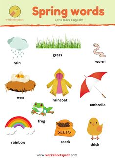 a poster with words and pictures on it to describe the different types of animals that live in