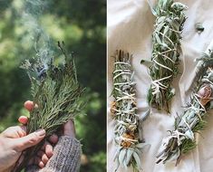 Dry Christmas Tree, Christmas Tree Sprigs, Smudge Bundles, Sage Bundles, Witch Tips, Wellness Habits, Soul And Spirit, With Christmas Tree, Body Balance