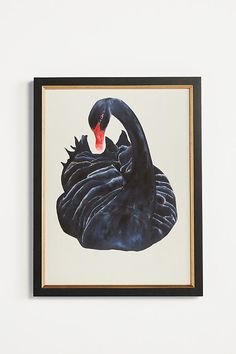 a black swan is hanging on the wall next to a white wall and framed photograph