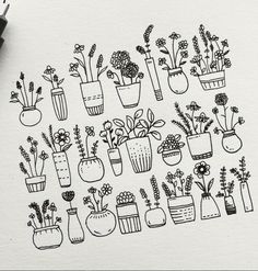 a drawing of many potted plants on a piece of paper next to a pen