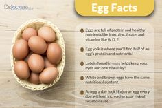 The brain has nutritional requirements in order to function properly. The following list of brain foods will ensure you stay sharp mentally. Benefits Of Eggs, Brain Foods, Health Benefits Of Eggs, Cyclical Ketogenic Diet, Egg Protein, Brown Eggs, Ketogenic Diet Meal Plan