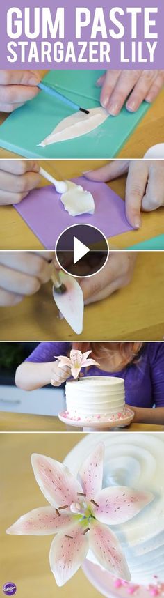 how to make gum paste stargazer lilys with this easy step - by - step video