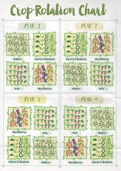 a cross stitch chart with different plants and numbers on the top, bottom and bottom