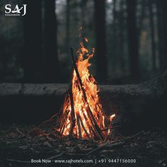 a campfire in the middle of a forest