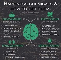 Happiness Chemicals, Physical Touch, Mental And Emotional Health, Self Care Activities, Brain Health, Mental Wellness, Self Improvement Tips, Emotional Health, Health And Wellbeing