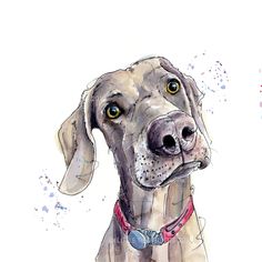 a watercolor drawing of a dog wearing a red collar