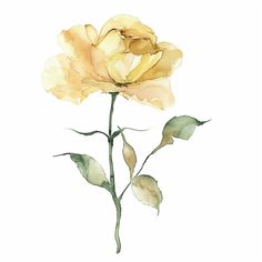 a watercolor painting of a yellow rose