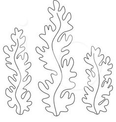 a line drawing of seaweed on a white background by clipartofotom