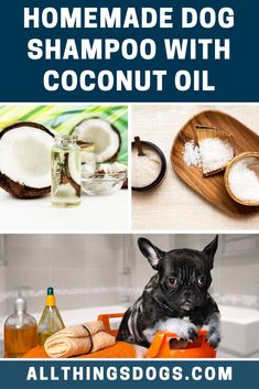 a collage of photos with coconut oil, dog shampoo and other things in them