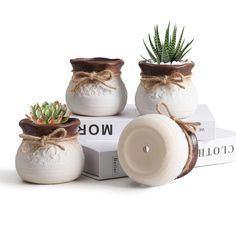 three ceramic pots with succulents on top of books