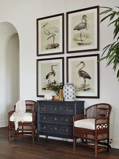 three framed birds are hanging on the wall above a blue dresser with two chairs and a potted plant