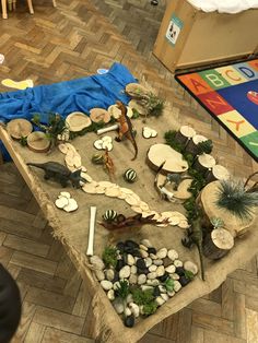 an assortment of plants and rocks on a table in a play area with blue blanket