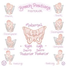 the breast position chart for babies