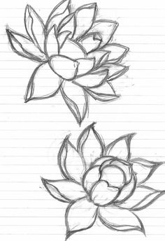 the drawing app shows how to draw flowers